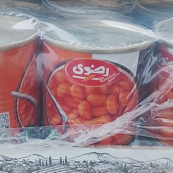 کنسرولوبیا چیتی رضوی
