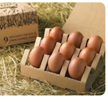 تخم مرغ محلی