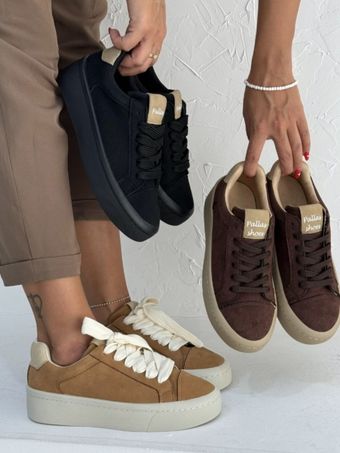 ونس پالاس 2281