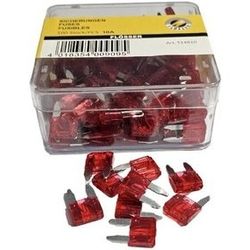 فیوز دوپایه ریز 10 sms مناسب 206