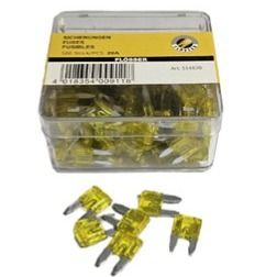 فیوز دوپایه ریز20 sms مناسب 206