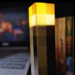 تورچ ماینکرفت