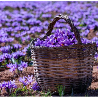 زعفران ممتاز قائنات 1 مثقال