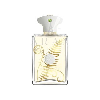 عطر ادکلن آمواج برَکِن من | Amouage Bracken Man