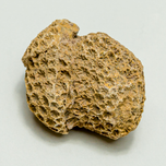 حفاری سنگ رسوبی