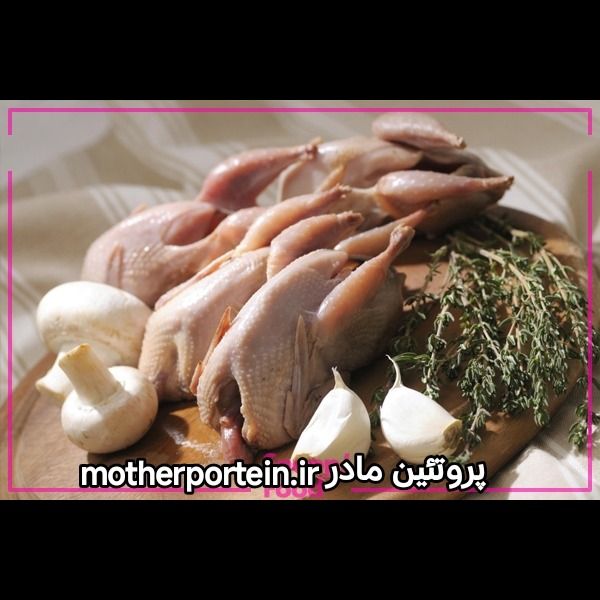 گوشت بلدرچین 1 کیلویی