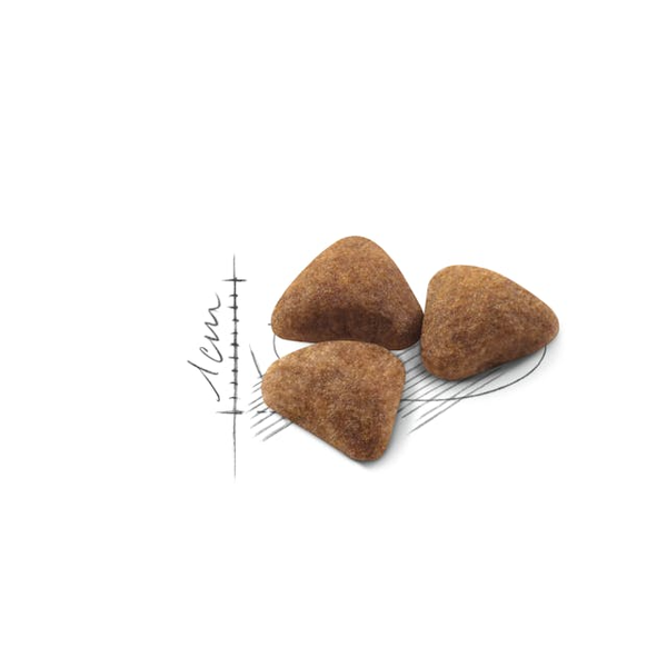 غذای خشک گربه رویال کنین ایندور / Royal canin Indoor dry cat food