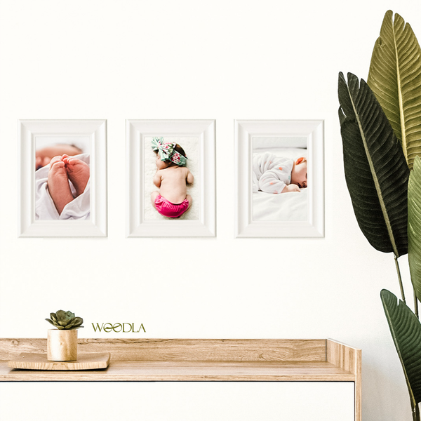 قاب (پک4عددی) , size 13.18