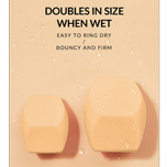 پد تک مولتی فیس شیگلم Sheglam Multi-Faceted Makeup Sponge