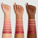 رژگونه کاسه ای چرب شیگلم مدل sheglam color jam