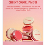 رژگونه کاسه ای چرب شیگلم مدل sheglam color jam
