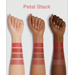 رژلب 4 در یک شیگلم رنگ Petal Stack