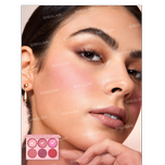 پالت رژگونه شیگلم 6 رنگ Sheglam Blush Palette