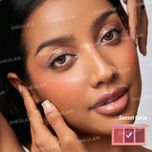 پالت رژگونه شیگلم مدل بستنی