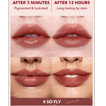 تینت لب شیگلم سو فلای Sheglam Lip Tint SO FLY