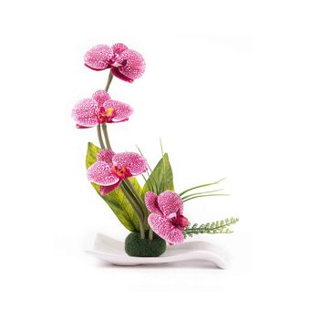 گل ارکیده با گلدان گلدکیش کد GK1699