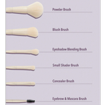 ست براش صورت و چشم مدل پرو کور شیگلم رنگ بژ Sheglam Pro Core Brush Kit