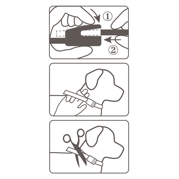 قلاده‌ی ضد کک و کنه‌ی سگ بیفار 65 سانتی متر / Beaphar Flea & Trick collar for dogs