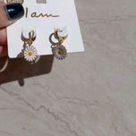 کلکسیون گوشواره حلقه ای