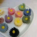 کلیپس وارداتی بابونه