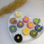 کلیپس وارداتی بابونه