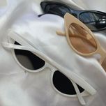 عینک‌گربه ای🐱