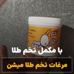 مکمل ویژه مرغ تخمگذار مدل تخم طلا