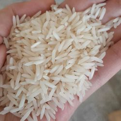 برنج شیرودی 5 کیلویی