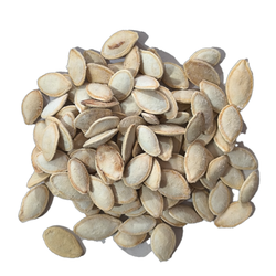 تخمه کدو500 گرم