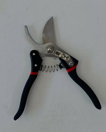 قیچی باغبانی