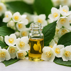 اسانس گل یاس 70گرمی
