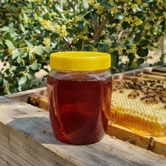 عسل کنار دزفول - 1 کیلو