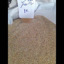 سرلاشه دودی هاشمی