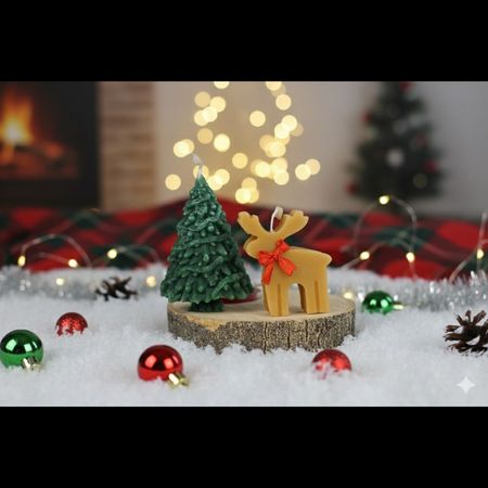 شمع گوزن و درخت کاج