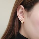 پک گوشواره 3