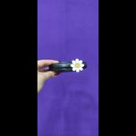 کمربند گل بابونه