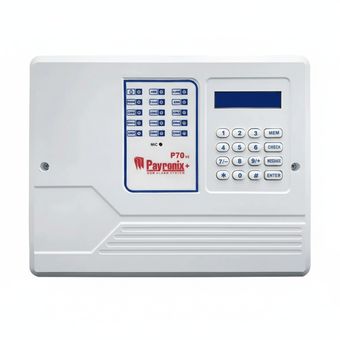 دزدگیر پایرونیکس