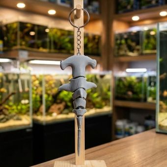 جاکلیدی کوسه سرچکشی