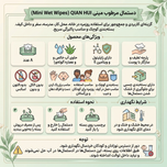 دستمال مرطوب مینی QIAN HUI مدل Mini Wet Wipes مدل دختر سبز پاستلی