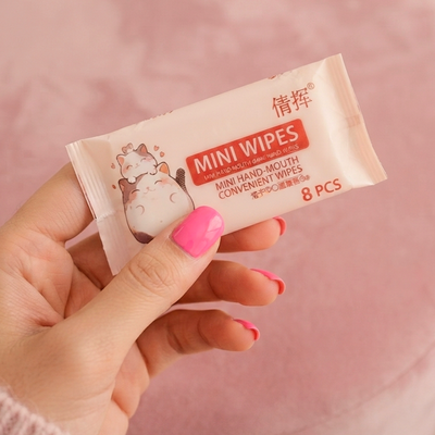 دستمال مرطوب مینی QIAN HUI مدل Mini Wet Wipes طرح پیشی صورتی