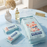 دستمال مرطوب مینی QIAN HUI مدل Mini Wet Wipes طرح خوک کیوت