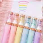 باکس 6 عددی هایلایتر فانتزی برند تاکومی (Takumi Highlighter - No. 217)