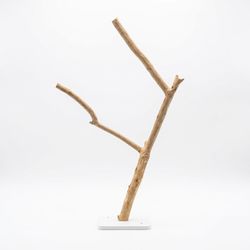درختچه دیواری کد 31