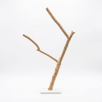 درختچه دیواری کد 31