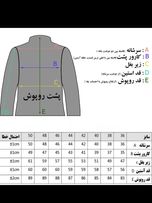 اسکراب مدل لی