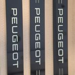 پارکابی فلکسی ماشین ایرانی