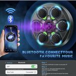 کیسه بوکس موزیکال