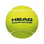 توپ تنیس هد مدل چمپیون شیپ بسته 4 عددی