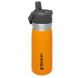 قمقمه استنلی مدل Go Flip Straw گنجایش 0.65 میلی لیتر