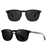 عینک آفتابی پنتوس (Pantos) آلبرت وگ مدل S31128C1 Acetate Avantgarde Visionary